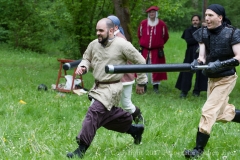 bardencon_20170520_0224