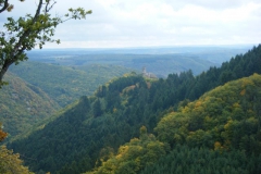 DSCF1637