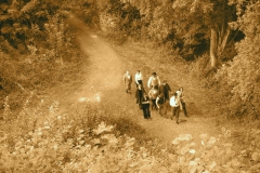 KONICA MINOLTA DIGITAL CAMERA