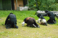 DSCN0879